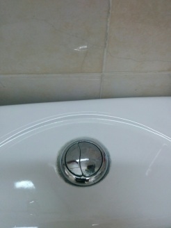 toilet-push-flush